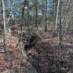 Photo #21 of SOLD property in Off The Trail, King and Queen, VA 148.0 acres