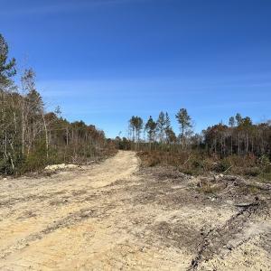Photo #23 of SOLD property in Off The Trail, King and Queen, VA 148.0 acres