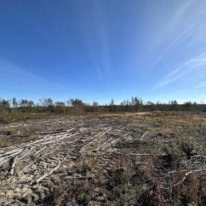 Photo #27 of SOLD property in Off The Trail, King and Queen, VA 148.0 acres