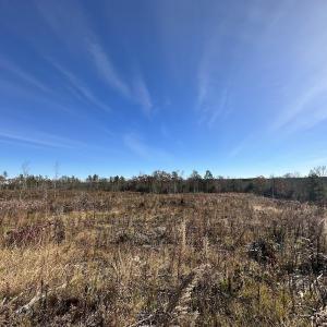 Photo #31 of SOLD property in Off The Trail, King and Queen, VA 148.0 acres