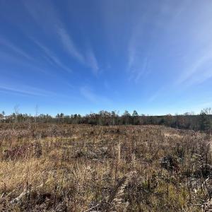 Photo #31 of SOLD property in Off The Trail, King and Queen, VA 148.0 acres