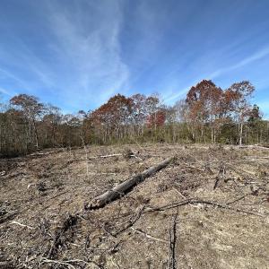 Photo #34 of SOLD property in Off The Trail, King and Queen, VA 148.0 acres