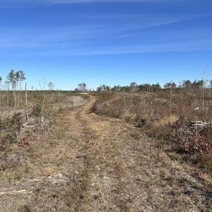 Photo #35 of SOLD property in Off The Trail, King and Queen, VA 148.0 acres