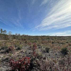 Photo #36 of SOLD property in Off The Trail, King and Queen, VA 148.0 acres