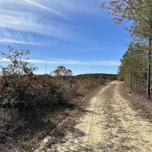 Photo #38 of SOLD property in Off The Trail, King and Queen, VA 148.0 acres
