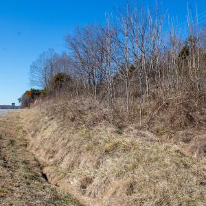Photo #10 of Off A.L. Philpott Hwy, Martinsville, VA 44.4 acres