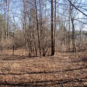 Photo #12 of Off A.L. Philpott Hwy, Martinsville, VA 44.4 acres