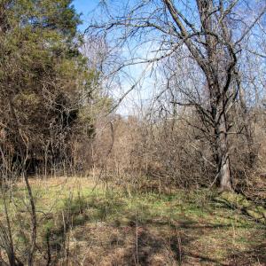 Photo #14 of Off A.L. Philpott Hwy, Martinsville, VA 44.4 acres