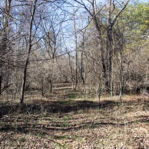 Photo #17 of Off A.L. Philpott Hwy, Martinsville, VA 44.4 acres