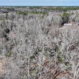 Photo #11 of SOLD property in 252 Hardison Rd, Chocowinity, NC 5.8 acres