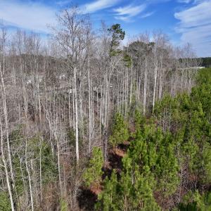 Photo #12 of SOLD property in 252 Hardison Rd, Chocowinity, NC 5.8 acres