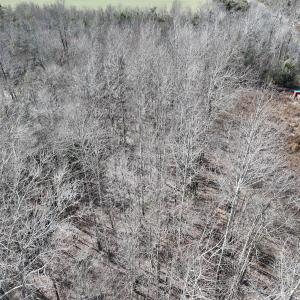 Photo #16 of SOLD property in 252 Hardison Rd, Chocowinity, NC 5.8 acres