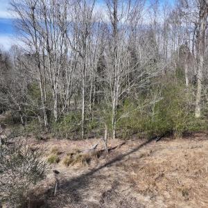 Photo #17 of SOLD property in 252 Hardison Rd, Chocowinity, NC 5.8 acres