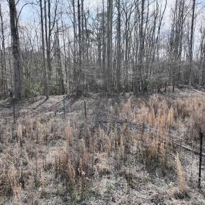 Photo #18 of SOLD property in 252 Hardison Rd, Chocowinity, NC 5.8 acres