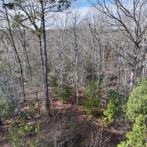 Photo #19 of SOLD property in 252 Hardison Rd, Chocowinity, NC 5.8 acres