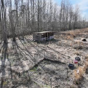 Photo #4 of SOLD property in 252 Hardison Rd, Chocowinity, NC 5.8 acres