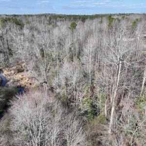 Photo #9 of SOLD property in 252 Hardison Rd, Chocowinity, NC 5.8 acres