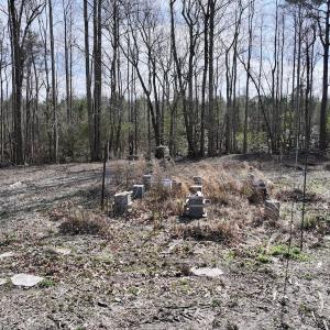 Photo #21 of SOLD property in 252 Hardison Rd, Chocowinity, NC 5.8 acres