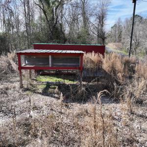 Photo #24 of SOLD property in 252 Hardison Rd, Chocowinity, NC 5.8 acres