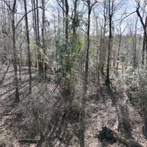 Photo #27 of SOLD property in 252 Hardison Rd, Chocowinity, NC 5.8 acres
