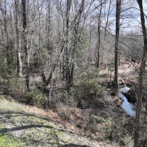 Photo #29 of SOLD property in 252 Hardison Rd, Chocowinity, NC 5.8 acres