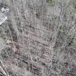 Photo #32 of SOLD property in 252 Hardison Rd, Chocowinity, NC 5.8 acres