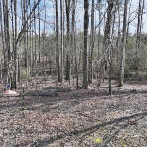 Photo #35 of SOLD property in 252 Hardison Rd, Chocowinity, NC 5.8 acres