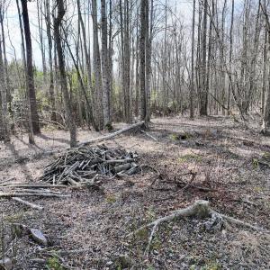 Photo #36 of SOLD property in 252 Hardison Rd, Chocowinity, NC 5.8 acres