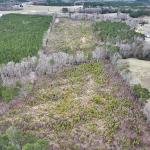 Photo #10 of SOLD property in Off Highway 48, Littleton, NC 9.9 acres