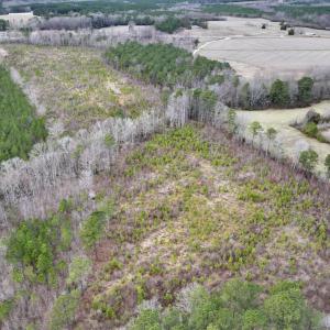 Photo #11 of SOLD property in Off Highway 48, Littleton, NC 9.9 acres