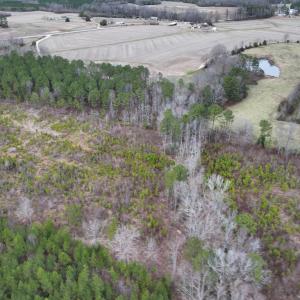 Photo #12 of SOLD property in Off Highway 48, Littleton, NC 9.9 acres
