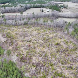 Photo #13 of SOLD property in Off Highway 48, Littleton, NC 9.9 acres