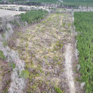 Photo #14 of SOLD property in Off Highway 48, Littleton, NC 9.9 acres