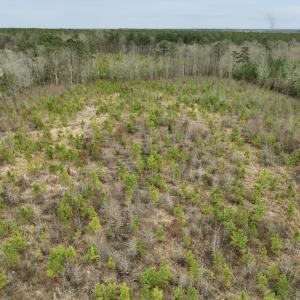 Photo #19 of SOLD property in Off Highway 48, Littleton, NC 9.9 acres