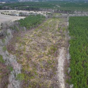 Photo #2 of SOLD property in Off Highway 48, Littleton, NC 9.9 acres