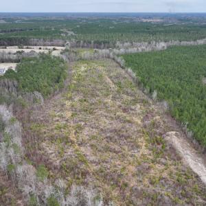 Photo #3 of SOLD property in Off Highway 48, Littleton, NC 9.9 acres