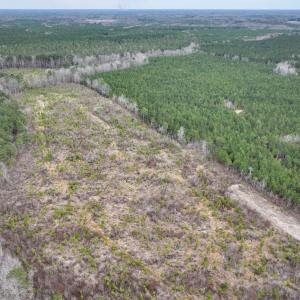 Photo #4 of SOLD property in Off Highway 48, Littleton, NC 9.9 acres