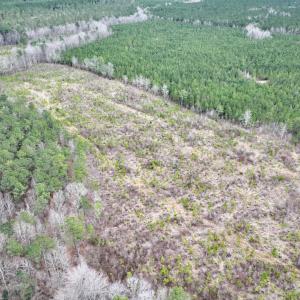 Photo #5 of SOLD property in Off Highway 48, Littleton, NC 9.9 acres