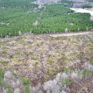 Photo #6 of SOLD property in Off Highway 48, Littleton, NC 9.9 acres