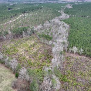 Photo #8 of SOLD property in Off Highway 48, Littleton, NC 9.9 acres