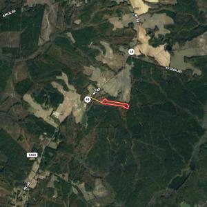 Photo #23 of SOLD property in Off Highway 48, Littleton, NC 9.9 acres