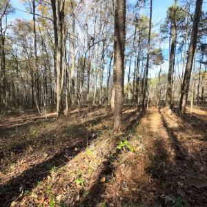 Photo #14 of Off Pageland Hwy, Monroe, NC 0.7 acres