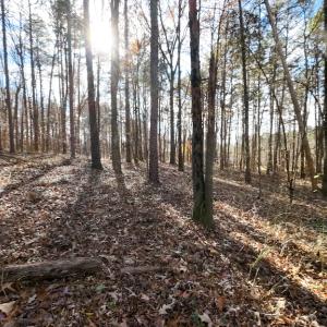 Photo #15 of SOLD property in Off Pageland Hwy, Monroe, NC 0.7 acres
