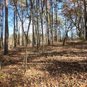 Photo #16 of SOLD property in Off Pageland Hwy, Monroe, NC 0.7 acres