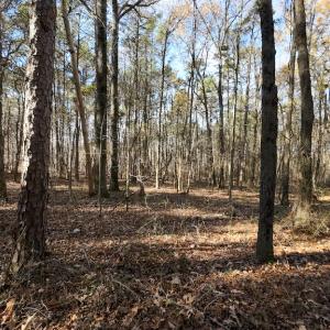 Photo #17 of Off Pageland Hwy, Monroe, NC 0.7 acres