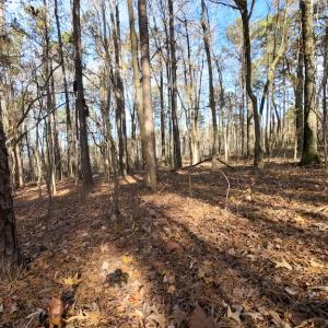 Photo #19 of Off Pageland Hwy, Monroe, NC 0.7 acres