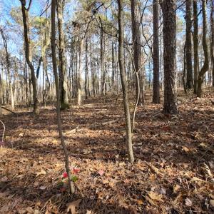 Photo #20 of SOLD property in Off Pageland Hwy, Monroe, NC 0.7 acres