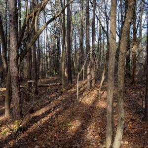 Photo #27 of SOLD property in Off Pageland Hwy, Monroe, NC 0.7 acres