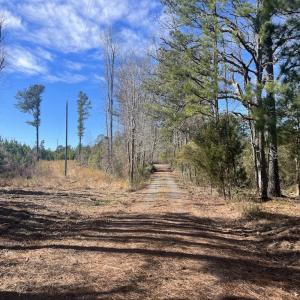Photo #30 of SOLD property in 2391 Pine Grove Church Road, Eagle Springs, NC 10.1 acres
