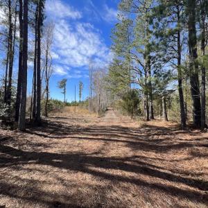 Photo #31 of SOLD property in 2391 Pine Grove Church Road, Eagle Springs, NC 10.1 acres